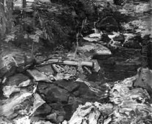 Schwarzwald Bach by Rudolf Gudden