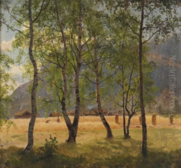 Aker Og Bjerkeskog - view 1