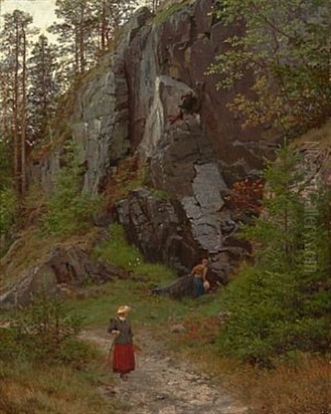 Tur I Skogen - view 1