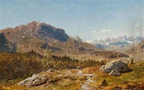 Fjellandskap - view 1