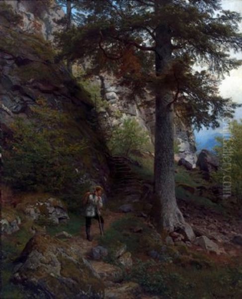 Hvile Pa Stien - view 1