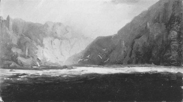 Norwegische Fjordlandschaft - view 1