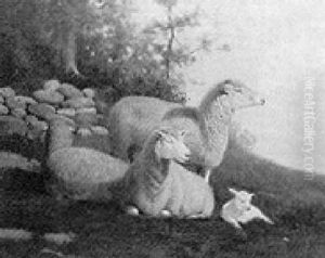 Sheep On A Hillside Sheep On A Hillside