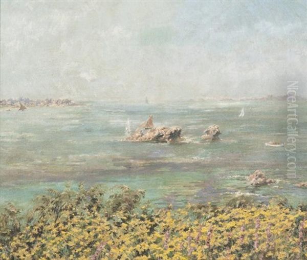 Bord De Mer Aux Ajoncs En Bretagne - view 1