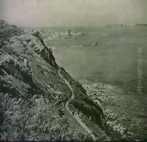 Chemin Des Douaniers Face Aux Sept Iles - view 1