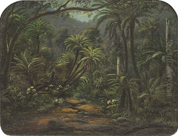 Ferntree Gulley - view 1