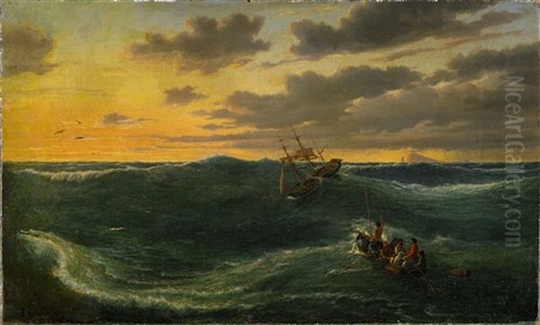 Shipwreck At The Australian Coast - view 1