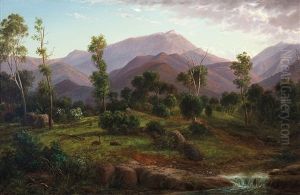 On The Wonnangatta River, Gippsland