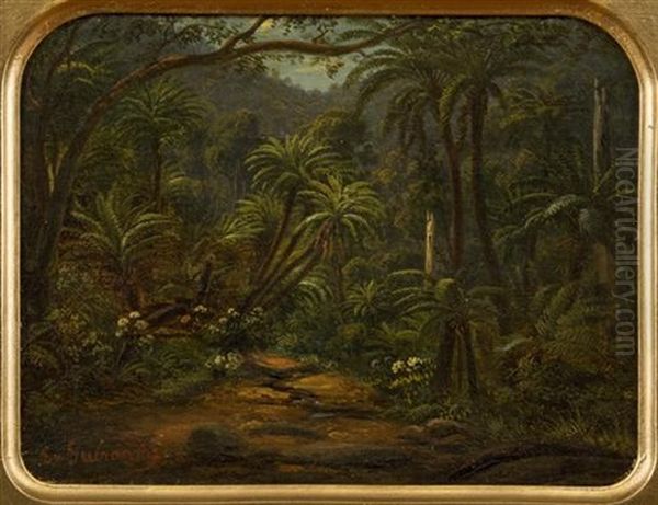 Ferntree Gully In The Dandenong Ranges - view 1