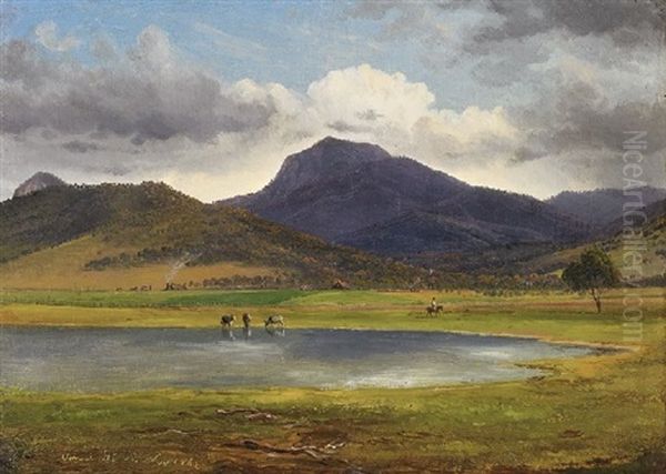 Mount Tambo From The Omeo Station - view 1