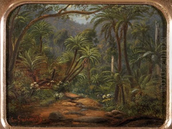 Fern Tree Gully In The Dandenong Ranges - view 1