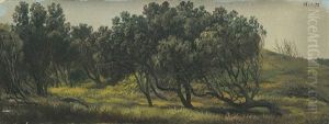 Honeysuckles Cape Schanck by Eugen von Guerard