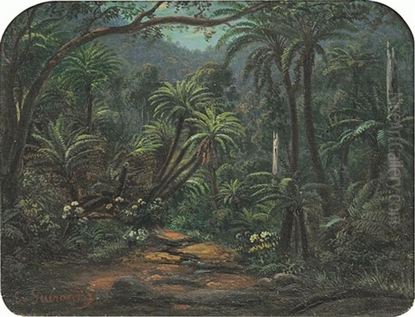 Ferntree Gully In The Dandenong Ranges - view 1