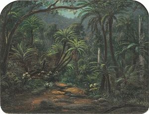 Ferntree Gully In The Dandenong Ranges by Eugen von Guerard