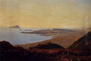View Of Naples And Surrounding Country From The Foot Of The Crater (vesuvius)