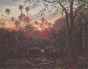 On The Americkan Creek Near Woolongong