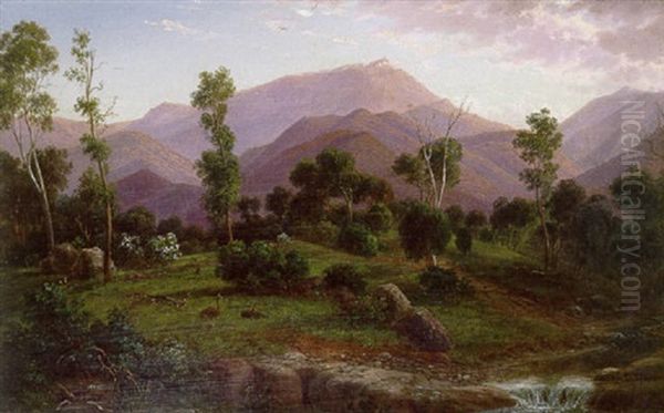 Mount Kent, Gippsland - view 1
