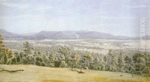 Lilydale From The Christmas Hills With The Dandenongs In The Distance