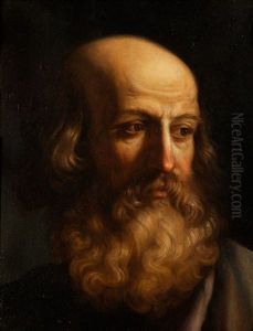 Kopf Eines Bartigen Mannes