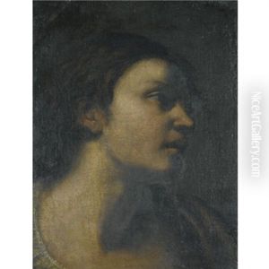 A Study Of A Head