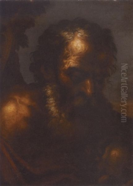Saint Jerome In The Wilderness - view 1