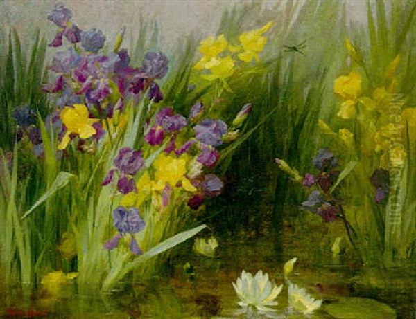 Irises - view 1