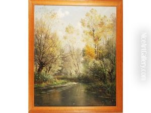 Matinee D'automne Sur La Suippe A Aumenancourt Le Petit, Marne