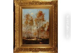 Paysage Aux Bouleaux