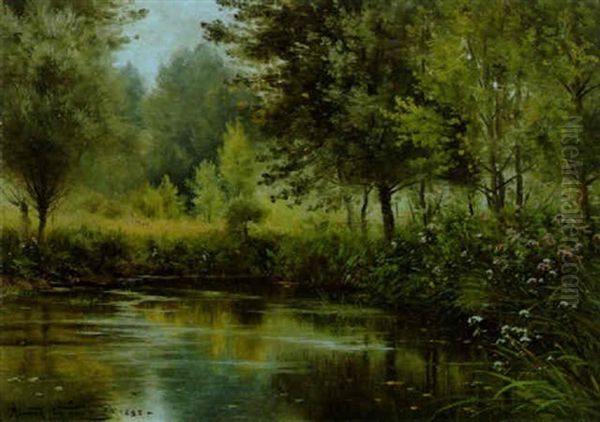 Waldlandschaft Mit Kleinem Teich - view 1