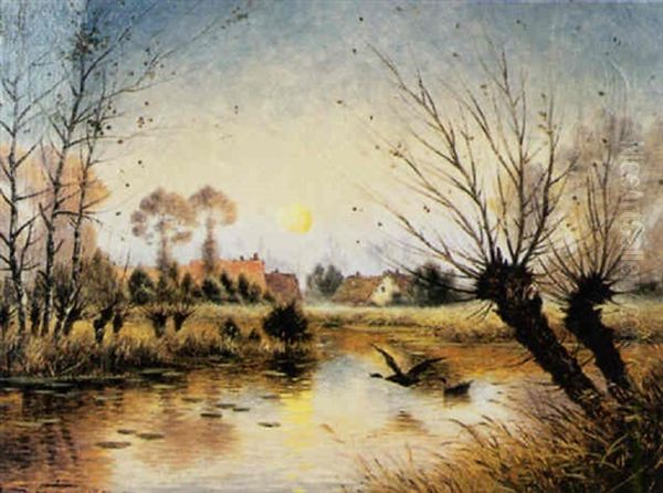 Lever De Lune Et Canards Sur Les Marais De La Suippe - view 1