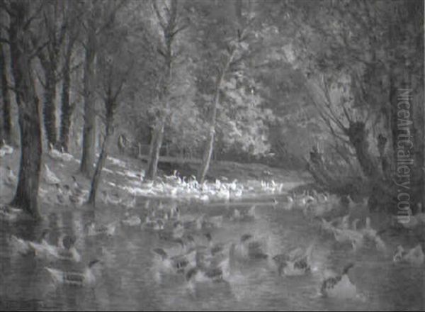 Ducks On A Sunlit Pond - view 1