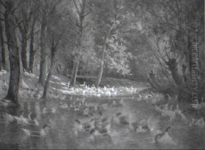 Ducks On A Sunlit Pond