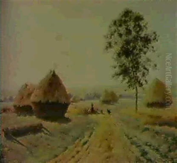 Troupeau De Moutons Sur Le Chemin - view 1