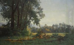 Paysage Au Bosquet D'arbres by Laurent Guetal