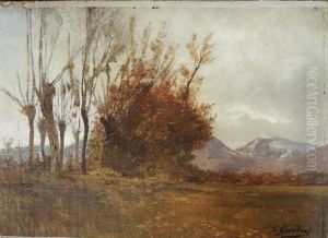 Saules Au Rondeau, En Fond La Pinea by Laurent Guetal