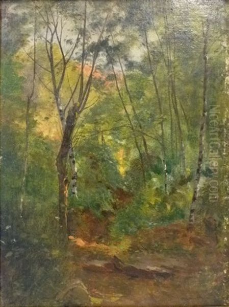 Foret Du Col De Porte, Dauphine - view 1