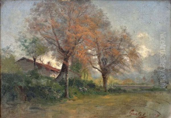 Paysage - view 1