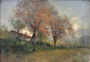Paysage Paysage