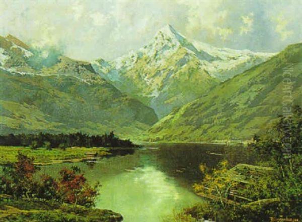 Der Zellersee - view 1