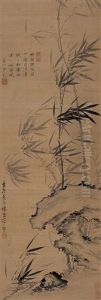 Bamboo Bamboo