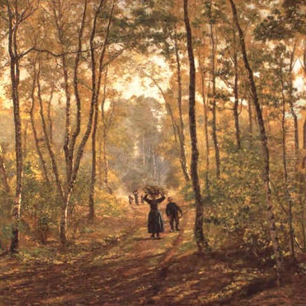 Houtsprokkelaars In Het Bos - view 1