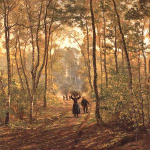 Houtsprokkelaars In Het Bos