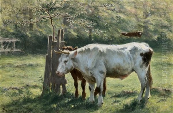 Cows - view 1