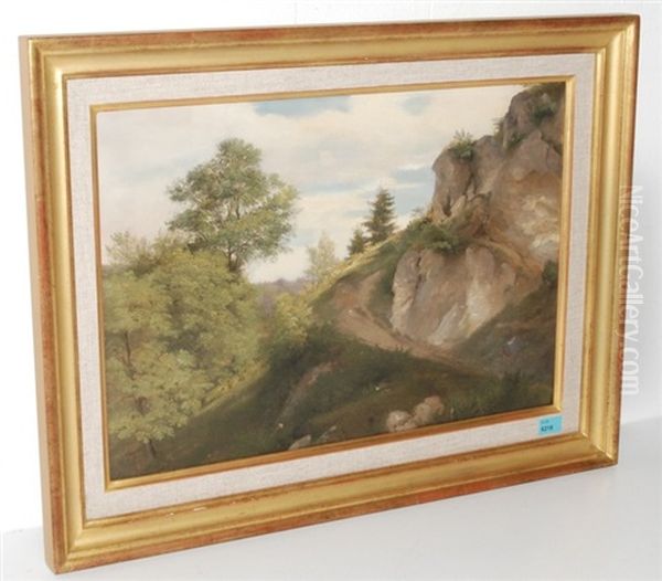 Voralpine Landschaft - view 1