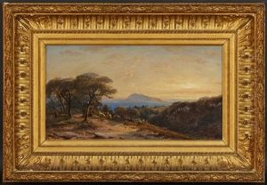 A Frejus, Depart Du Var, Le Soir Dans La Foret Des Pins