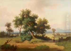 Weite Landschaft Mit Spaziergangerin Weite Landschaft Mit Spaziergangerin