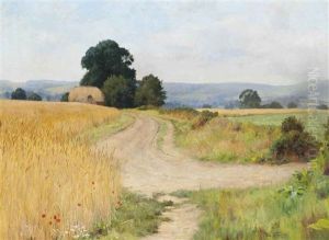 The Cornfield