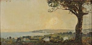 Paysage Paysage