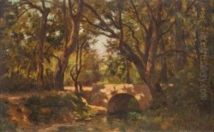 Pont Dans Un Sous-bois