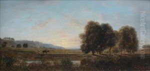 Paysage De Provence Au Soleil Couchant